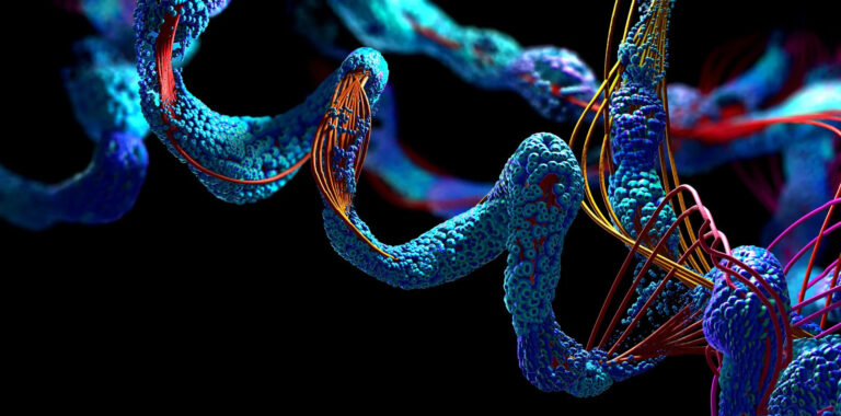 BioPep’s study demonstrates that mass spectrometry analysis can identify novel stem cell-derived peptides
